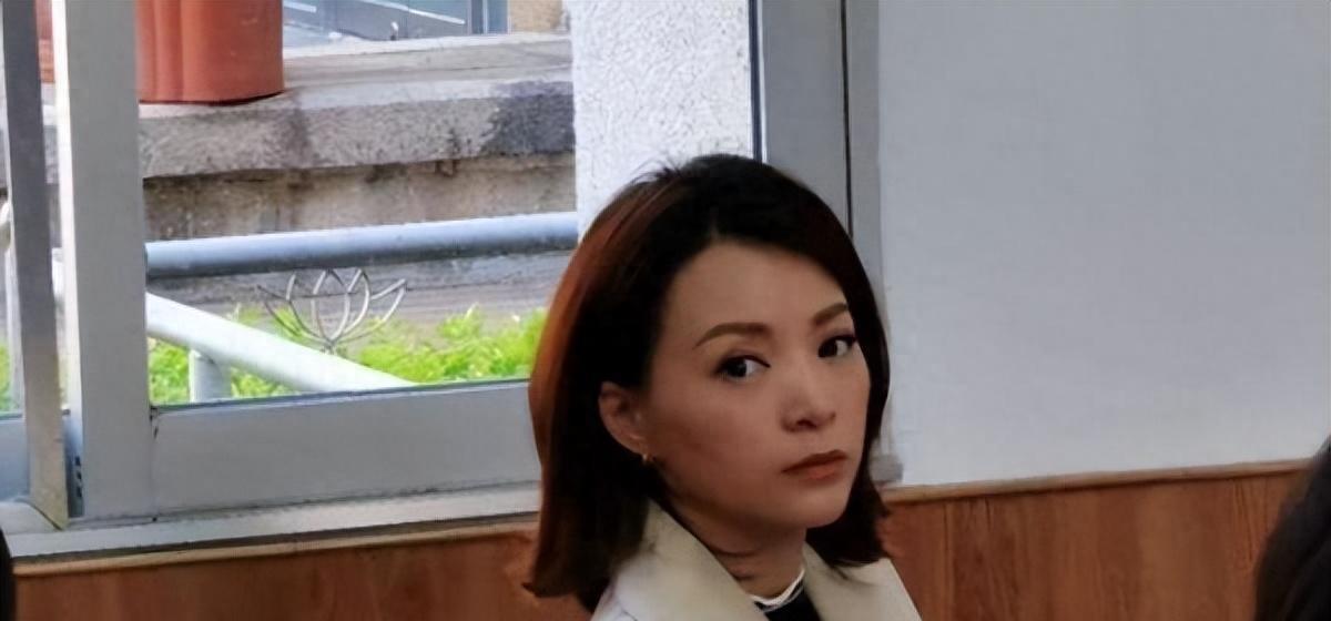 密春雷再被执行5亿总计12亿, 董卿:当初谈恋爱被利用了