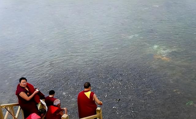 黄山风景区|西藏羊湖鱼8亿多公斤泛滥，随手就能捞到，到底为何无人敢吃？