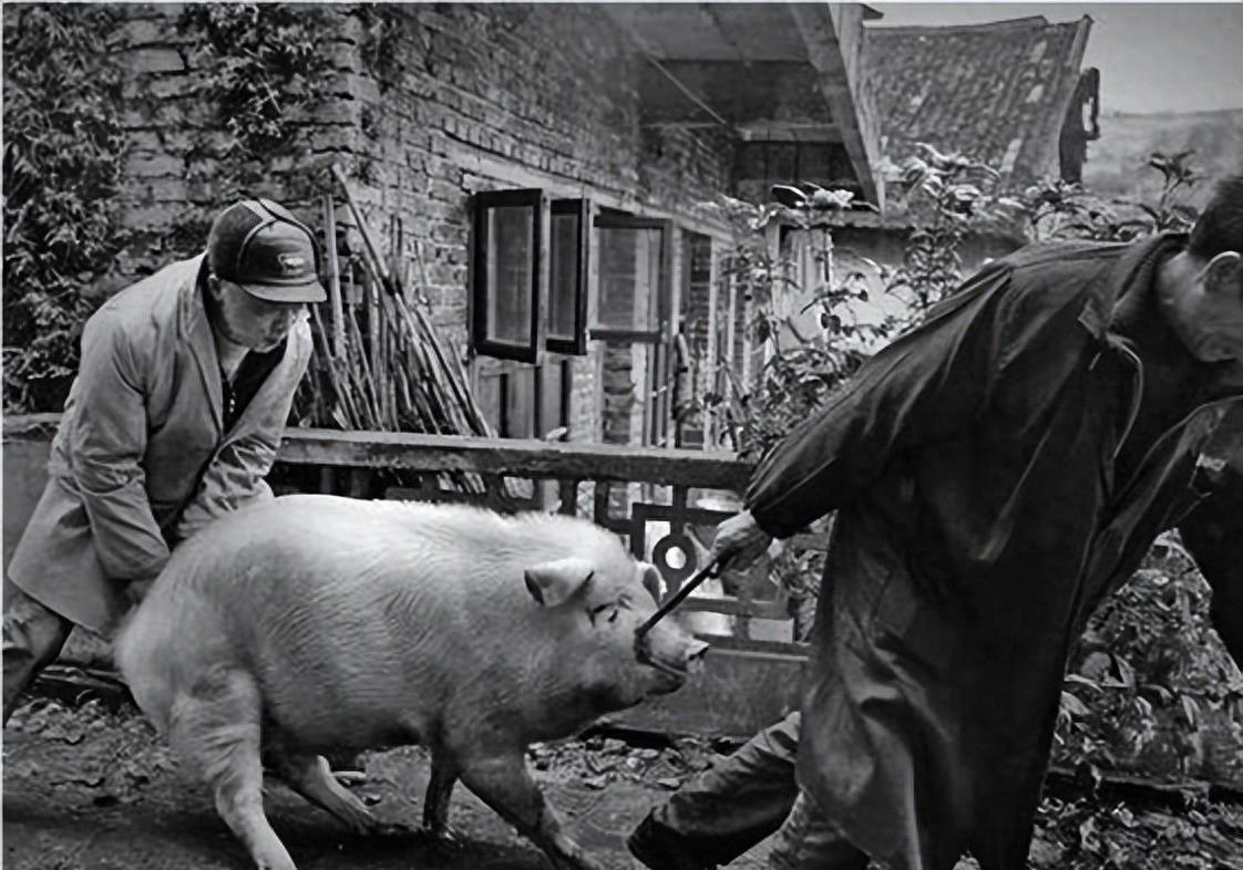 七八十年代的“铁饭碗”,当时人人追捧,如今已沦为社会底层职业