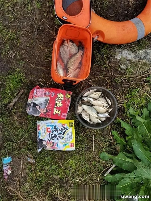 鲫鱼|带钓鱼王访友,一盆放流一碗带走