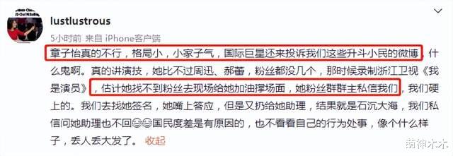章子怡|章子怡未祝福杨紫琼被嘲,下场投诉相关评论,两人昔日恩怨被扒