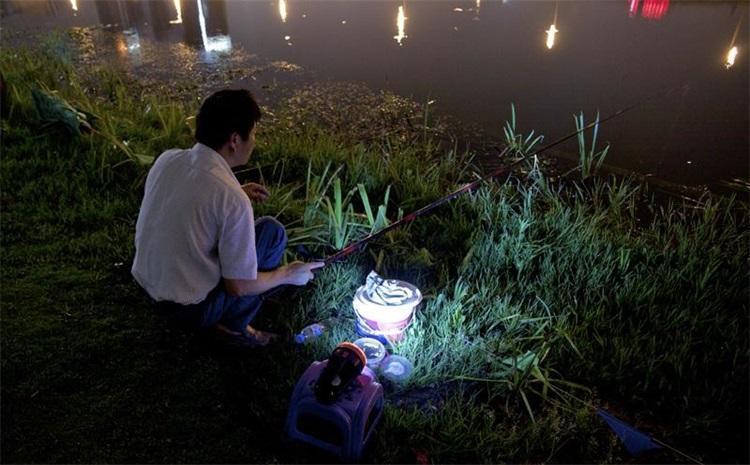 酷暑夜钓的五大误区,避免重复踩坑,现在知道还不晚