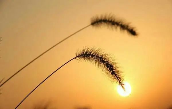 六爻案例:犹豫去还是不去