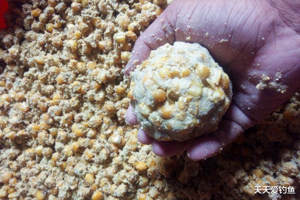 白露过后野钓鲤鱼,4个酒香窝料配方,通杀各种水面