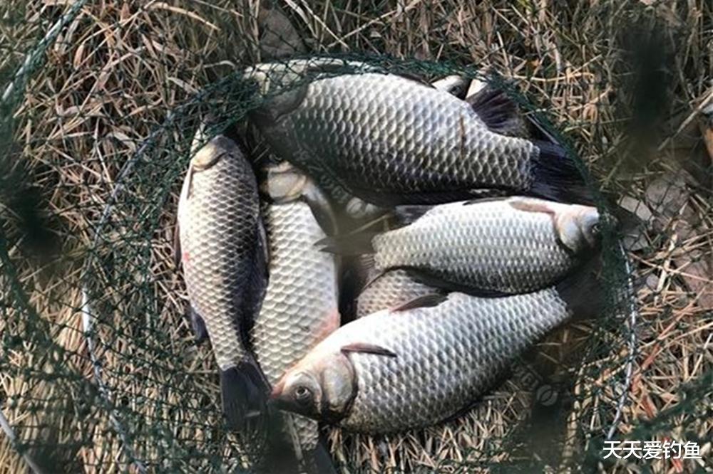 寒冬鲫鱼藏得深，找这4种深水窝点，大鲫鱼一钓一个准