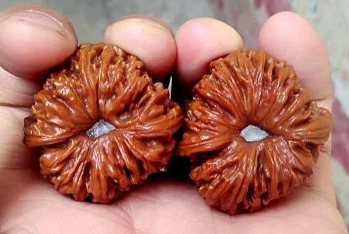 如何把玩出一对晶莹剔透的文玩核桃？