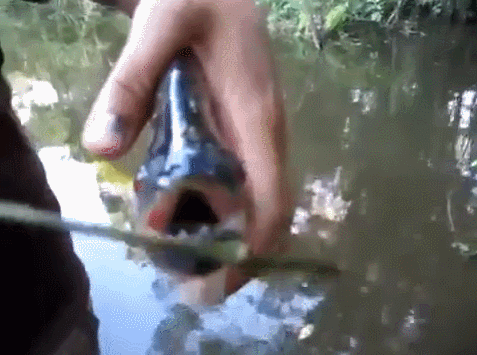 477_355gif 动态图 动图