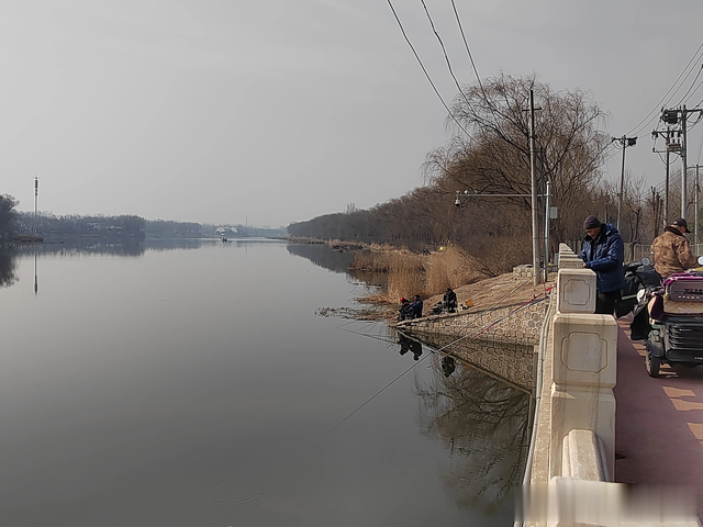 鲫鱼|钓鱼日记——2023年3月4日(巩华城夜钓)