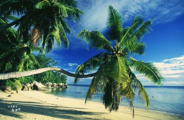 海滩|非洲岛国塞舌尔对中国游客免签，那里美得如仙境，椰子长得像屁屁