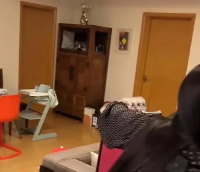 朱珠晒老公所送生日礼物，意外曝光客厅，被网友吐槽太寒酸