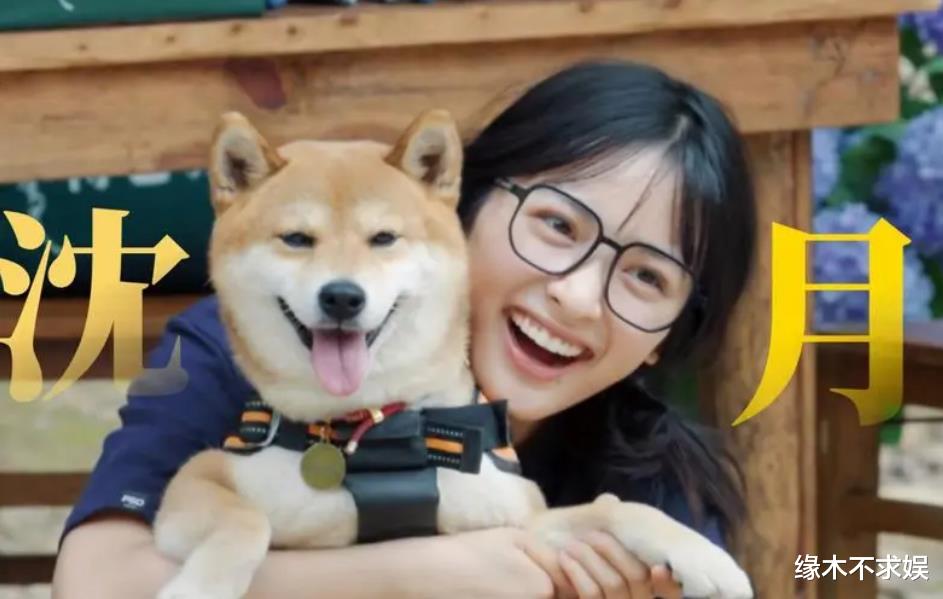 演员沈月疑为流浪狗发声，并公然“厌童”！火速删文仍引发众怒，粉丝脱粉！