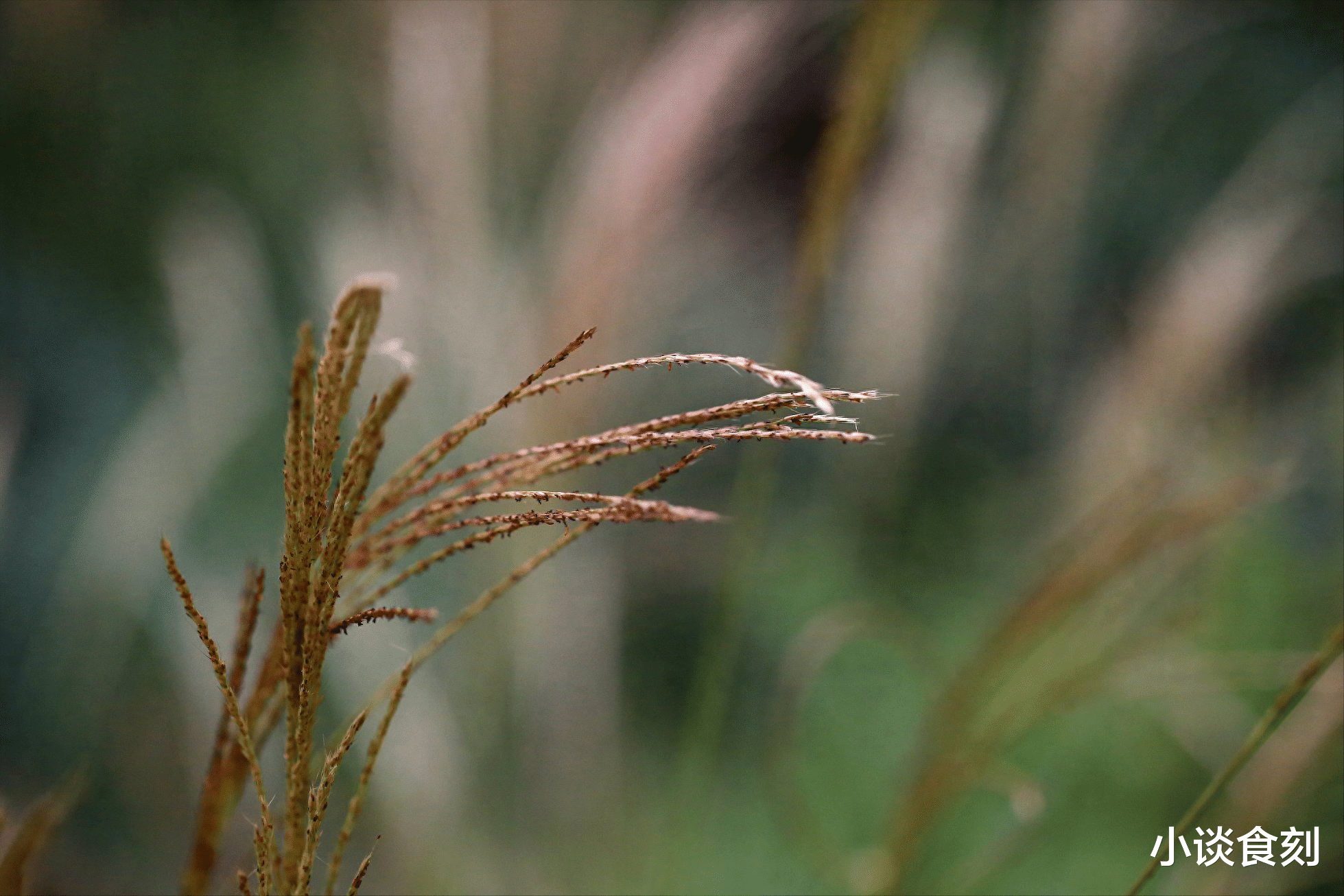 |今日是九月头一天,提醒“2做3不吃”,顺时令添安康,早看早受益