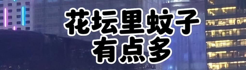 杨幂|为什么全网都在晒他的演唱会有多爽?