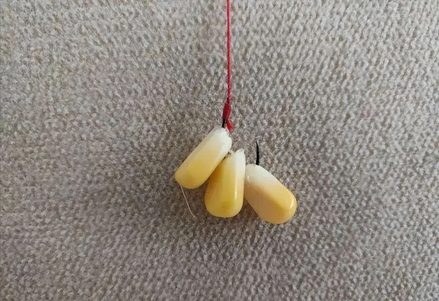玉米|玉米钓大鱼，挂钩有讲究！