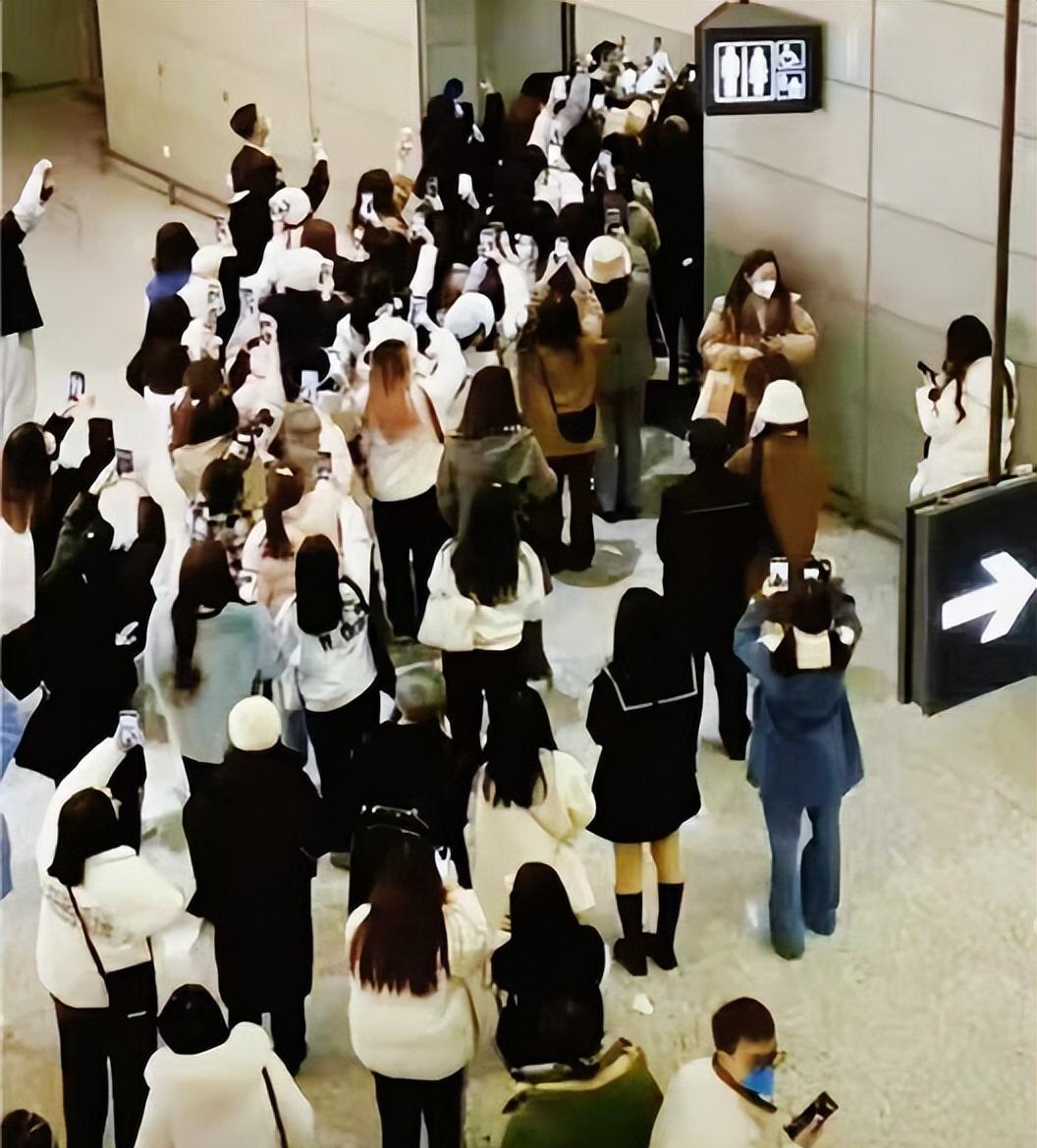 娱乐圈|掩藏不住的优越感，是娱乐圈的广大通病