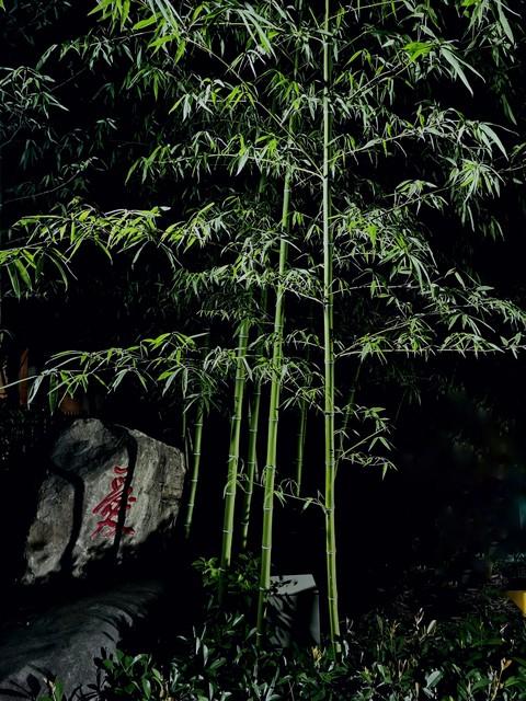 文玩|文玩是什么，究竟该如何玩好文玩？