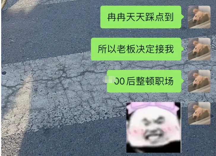 满意吗，我编的！00后大学生整顿职场，老板退避三舍直呼不敢惹