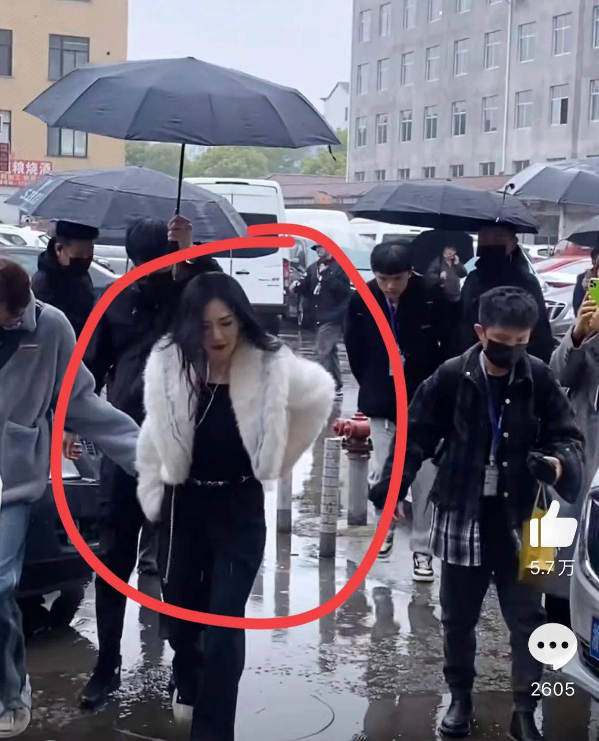 谢娜|谢娜复出?接连加盟《萌探》,《快本》5人现状如何