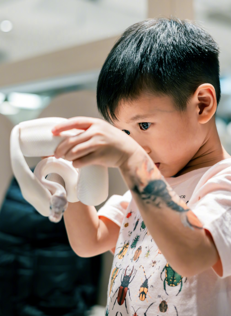 胡杏儿晒全家福为次子庆生,4岁Ryan徒手抓蛇超勇敢,郑嘉颖妻儿现身