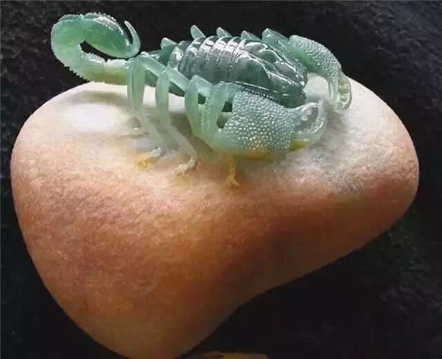 翡翠|翡翠原石摇身一变成了蝎子