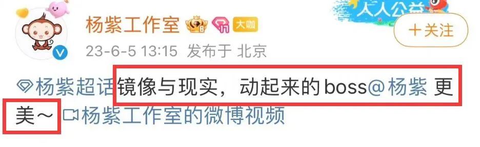 杨紫|执着变美有用吗?