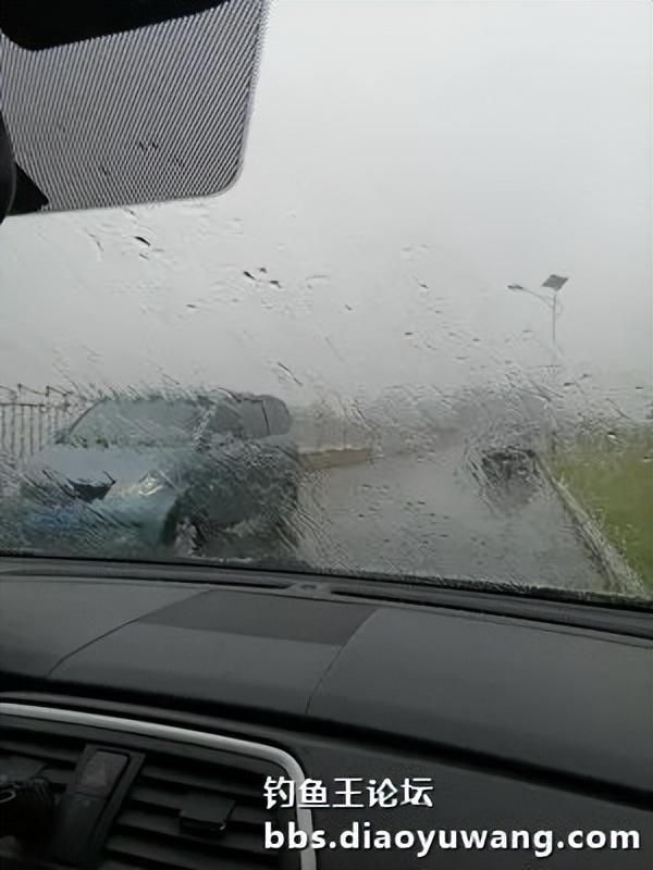 |天乐鲫竿弯弓现,大鲫大鲤争上岸