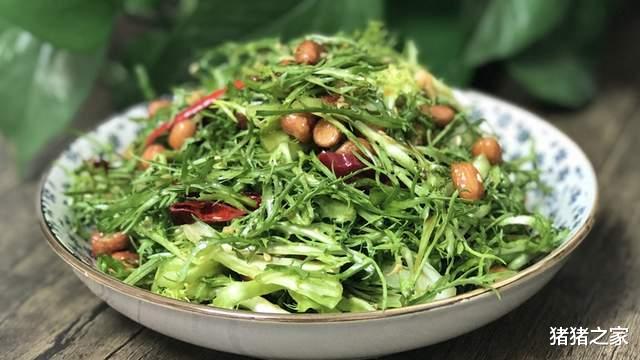 凉拌|清热解毒,凉爽开胃,苦菊凉拌给你不一样的味蕾享受,解暑降火