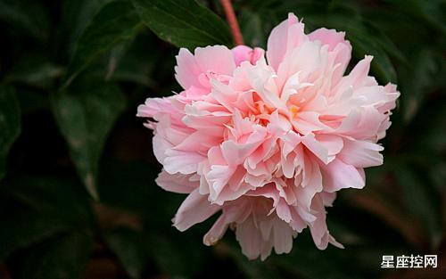 大学生|生日是哪几个农历日子的人,不甘落后,暗暗努力,穷不过今年