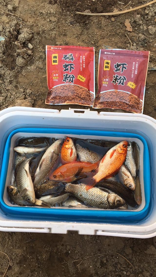 |【钓鱼之家虾粉】癸卯年首钓,虾粉给力,开钓大吉大利