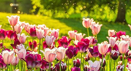 喜欢向你打听这些事的人,可能想要“害”你,要注意