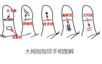 手相|从大拇指纹路看一生命运