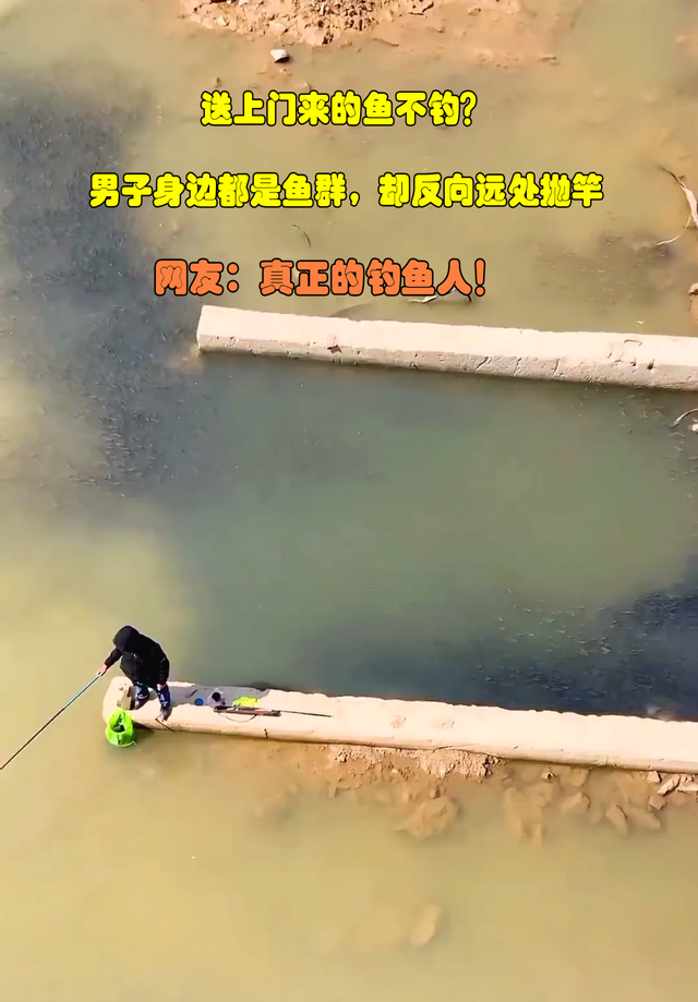 |真钓鱼人?广东男子河边钓鱼走红,身边都是鱼群,却向远处抛竿
