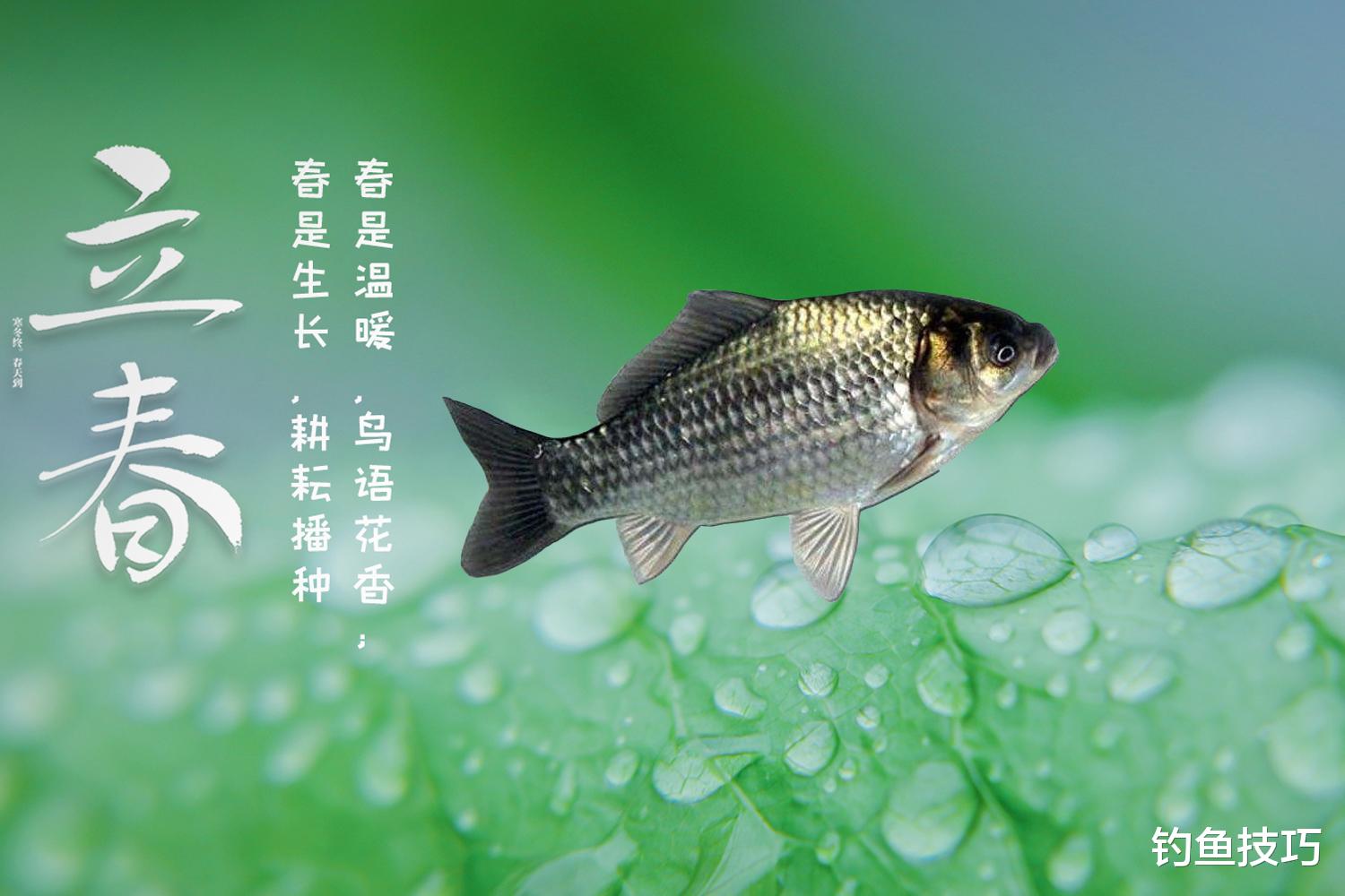 |换季时鱼都很难钓吗?4个换季时期对鱼口的真实影响