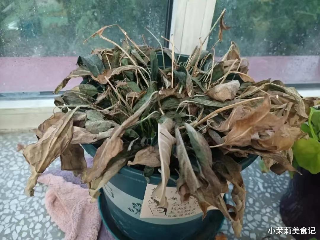 春联|“扫房5不扔，来年一场空”，明日腊月二十四扫房日，传统莫忘