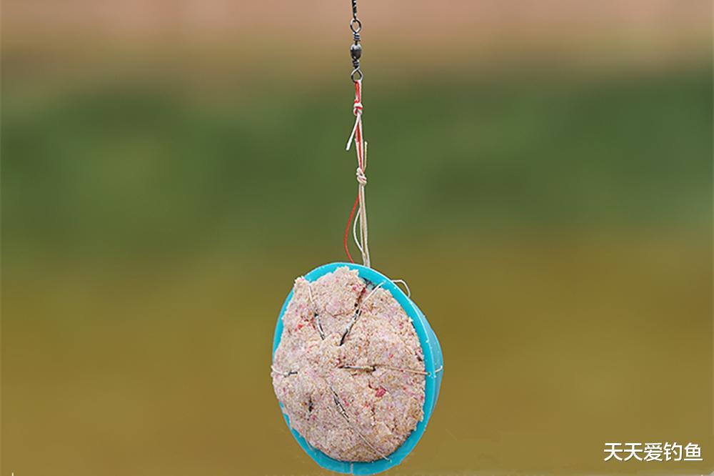 鳊鱼|鱼钩在上,铅坠在下!钓法不常规,渔获才更多