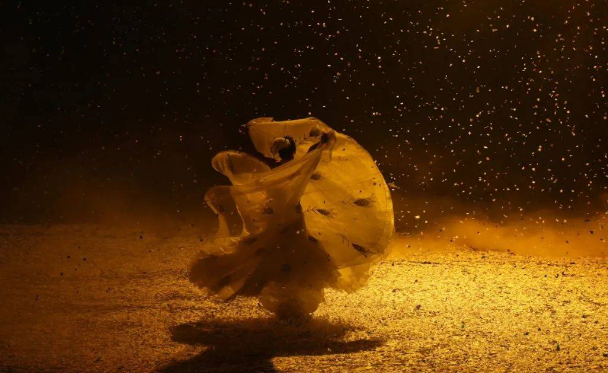 从徐娇的泳装到杨丽萍的凸毛孔雀，究竟是低俗了还是心脏了