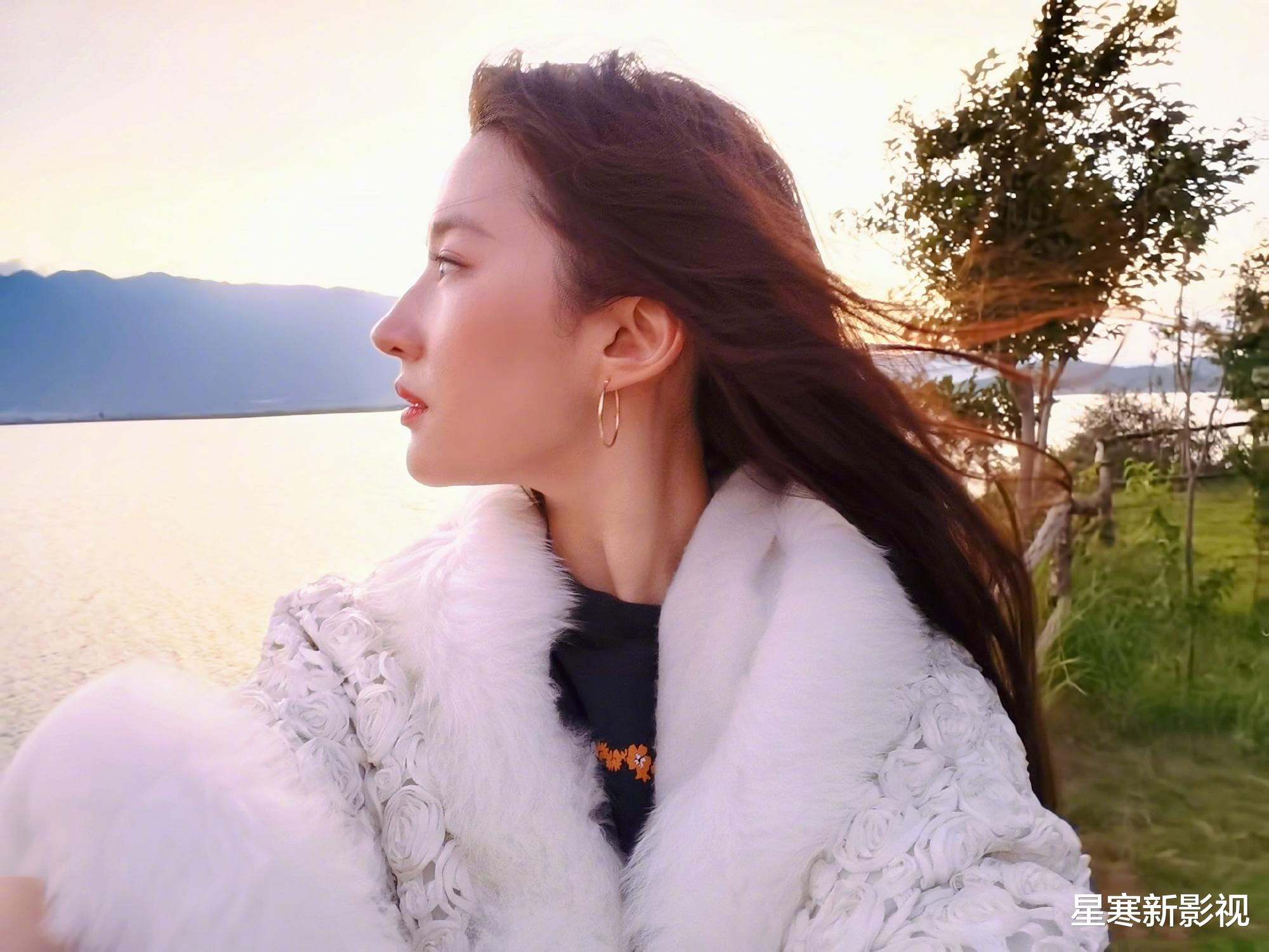 刘亦菲|刘亦菲《玫瑰故事》筹拍，争角大战一触即发，4位实力男神呼声高