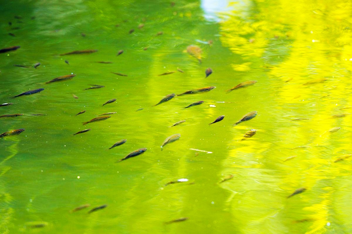 夏季钓鱼必看:遇到这6种情况,应立即停钓收杆!