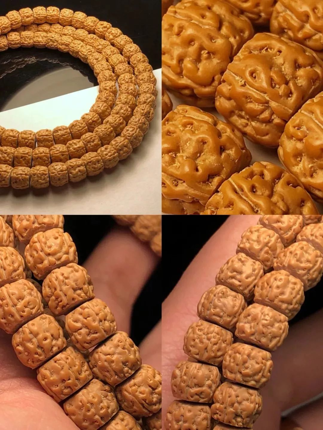 浅谈文玩圈中金刚菩提的那条“龙”