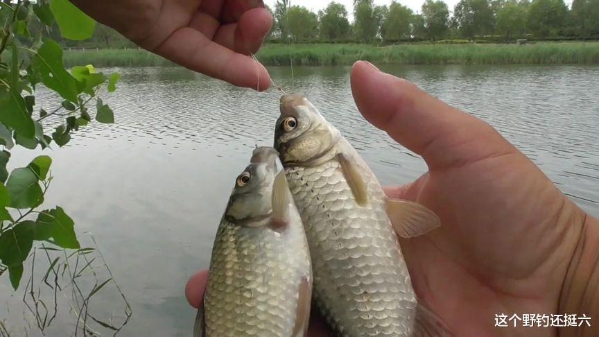 钓不到鱼是深浅选择的问题吗？深浅都能钓到鱼，如何有效针对？