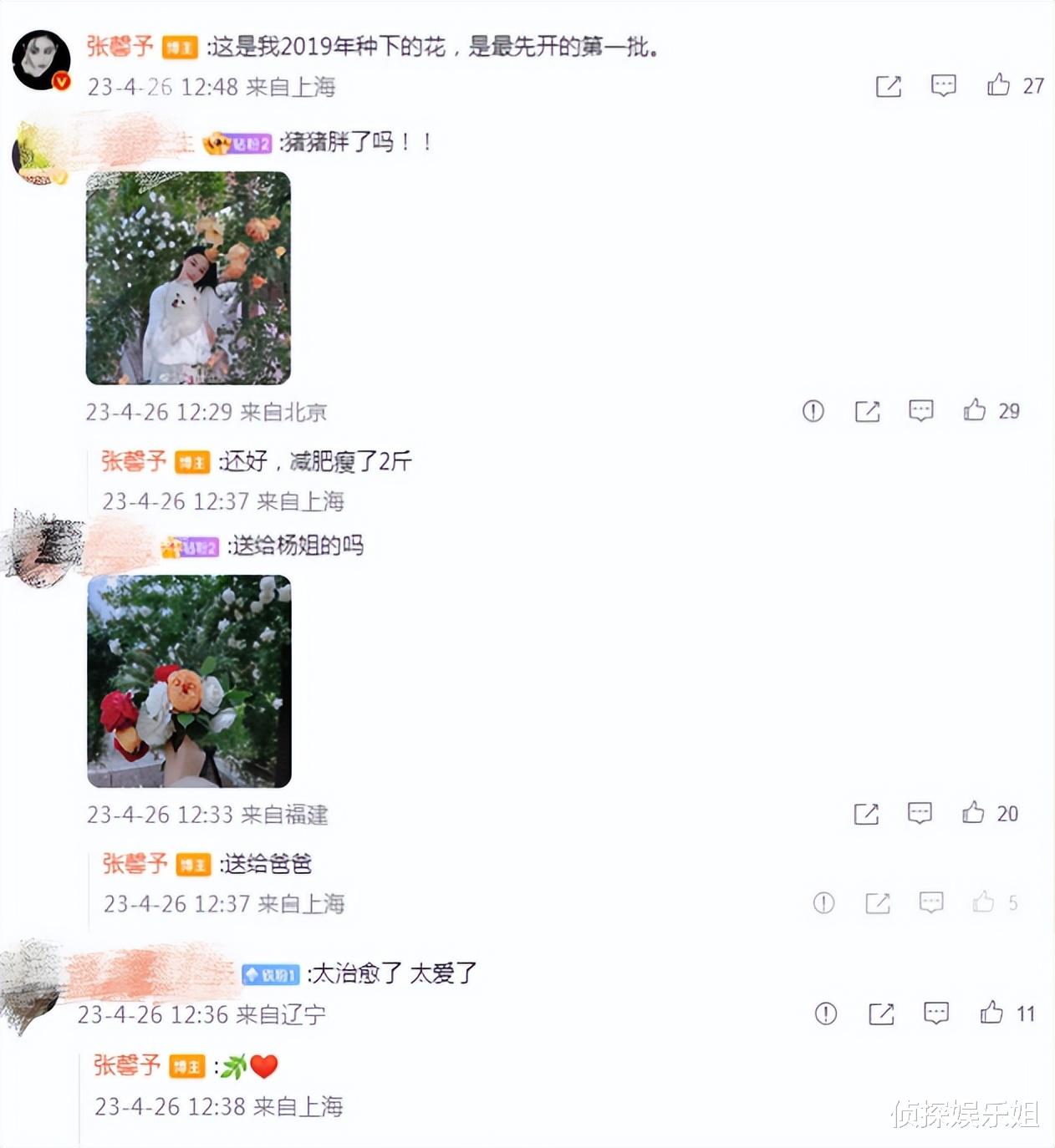 张馨予|张馨予在自家花园拍照，老公视角下穿睡袍出镜，完美演绎人比花娇