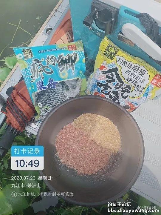 大暑钓翘,板鲫来闹