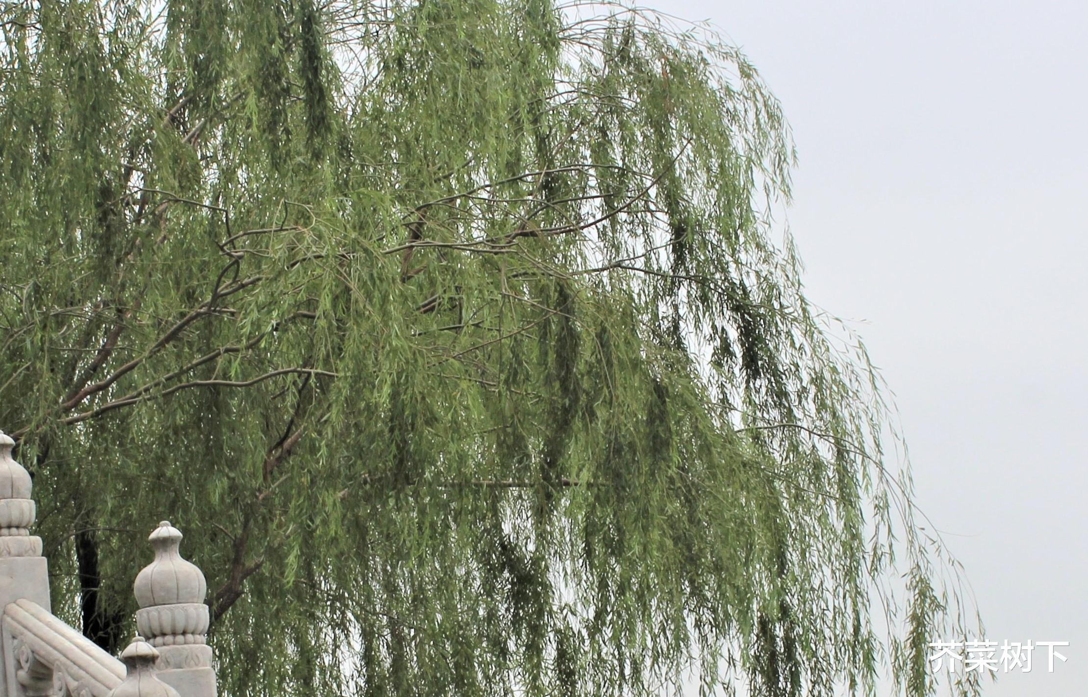 pua|拒绝职场PUA,也拒绝捧杀