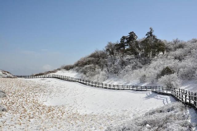 成都|紫柏山不闭园！下雪的留坝，怎么看都不腻