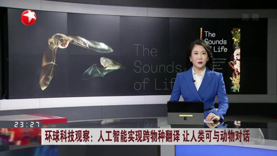 与动物对话不再是科幻?跨物种翻译技术正在来袭!