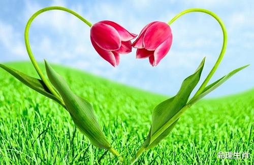 |妻星不显，流年逢财，今年有脱单机会吗？