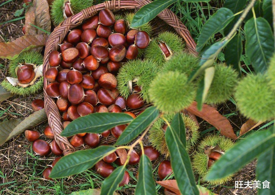 养生食谱|冬季进补,多给家人吃这5种食材,健康养胃,滋补营养,增强免疫