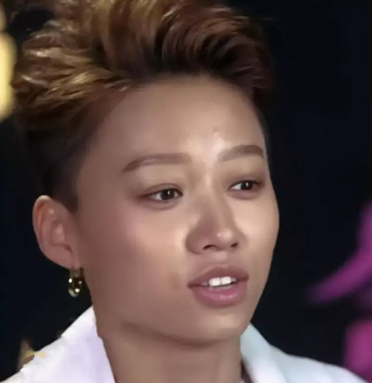 明星|出道后去“动脸”,“换了头”还称纯天然,这些明星不羞吗?