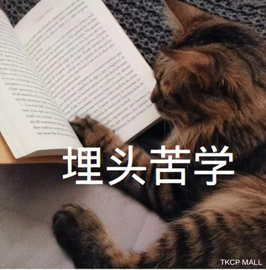 |砖家指责年轻人不生小孩不对,年轻人建议砖家少操闲心