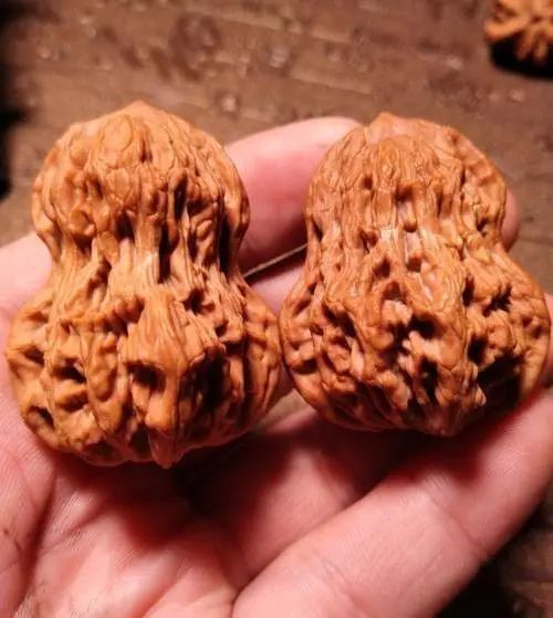 盘点九种最容易盘花的文玩